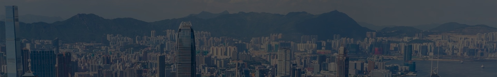 成功案例