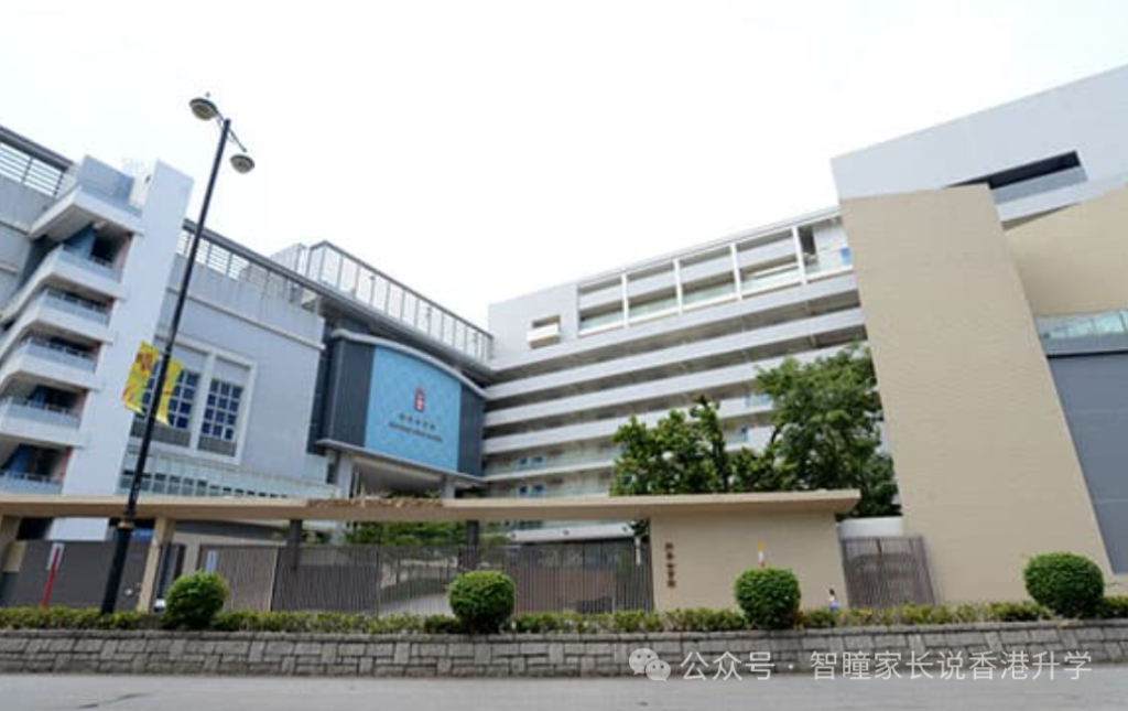 初中才转香港读书,真的晚了?接触上百个家庭后,我想说句真话