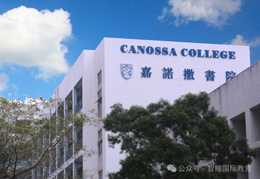 2026年香港36个小学校网终极解析!强弱网排名、跨网真相、择校避坑全攻略