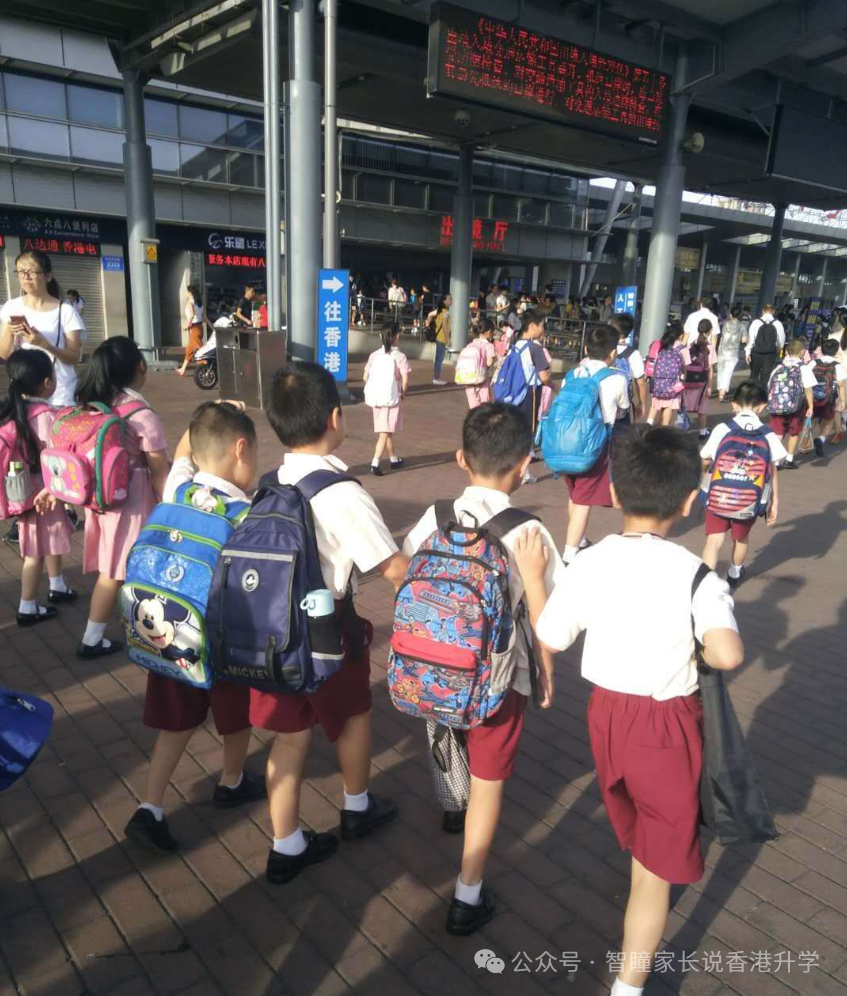 2026年跨境学童最全攻略!口岸选择、校巴规则、择校避坑、成本测算一次讲透