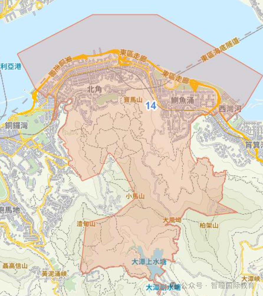 2026年香港36个小学校网终极解析!强弱网排名、跨网真相、择校避坑全攻略