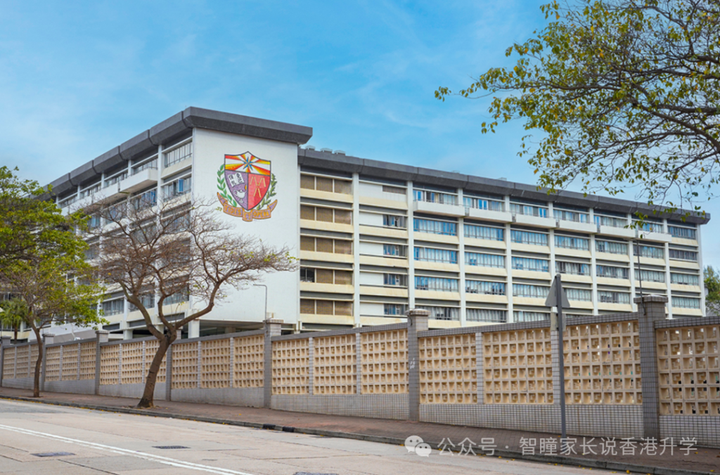 别再盲目刷题!2026 香港小学插班考试真相:比拼的不是分数,而是港式适配能力