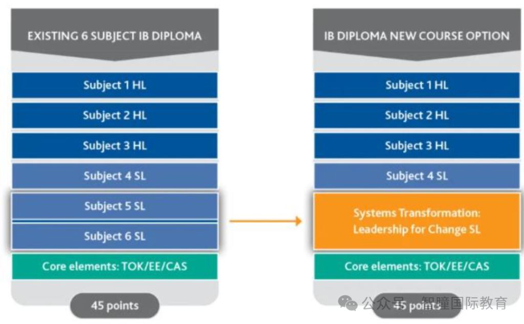 IB放榜65个满分状元,录取却延后半个月,2026升学真相