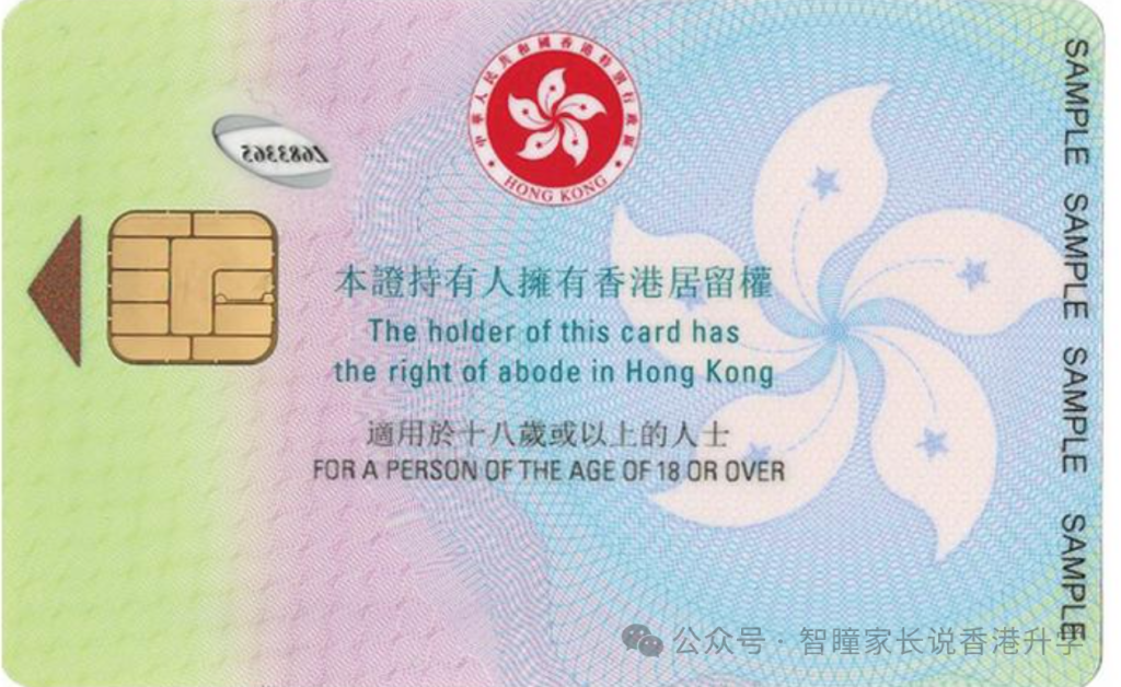 2026年跨境学童最全攻略!口岸选择、校巴规则、择校避坑、成本测算一次讲透