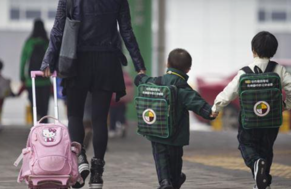 优才高才进修:不同身份路径,对孩子上学有什么影响
