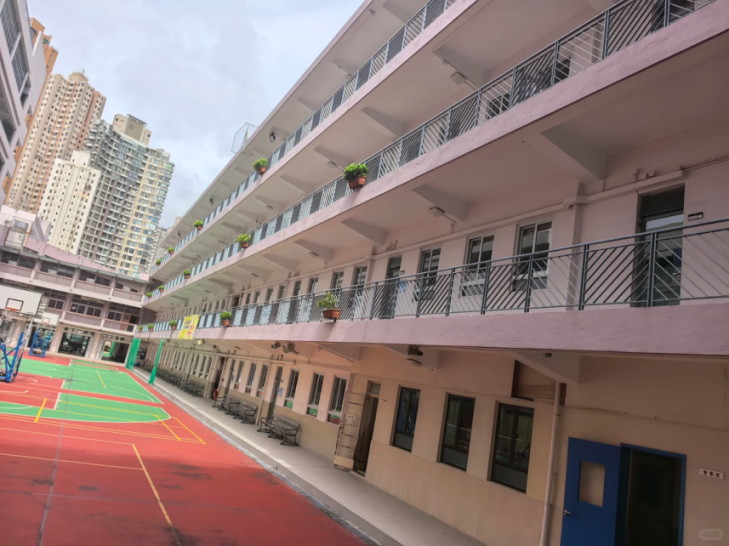 英语70分基础，照样考上九龙城Top50官立小学