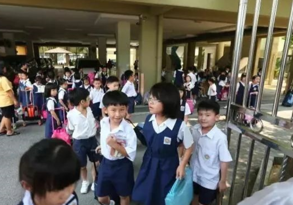 2026 年香港小学插班考情复盘:题量变大、写作变多,怎么应对