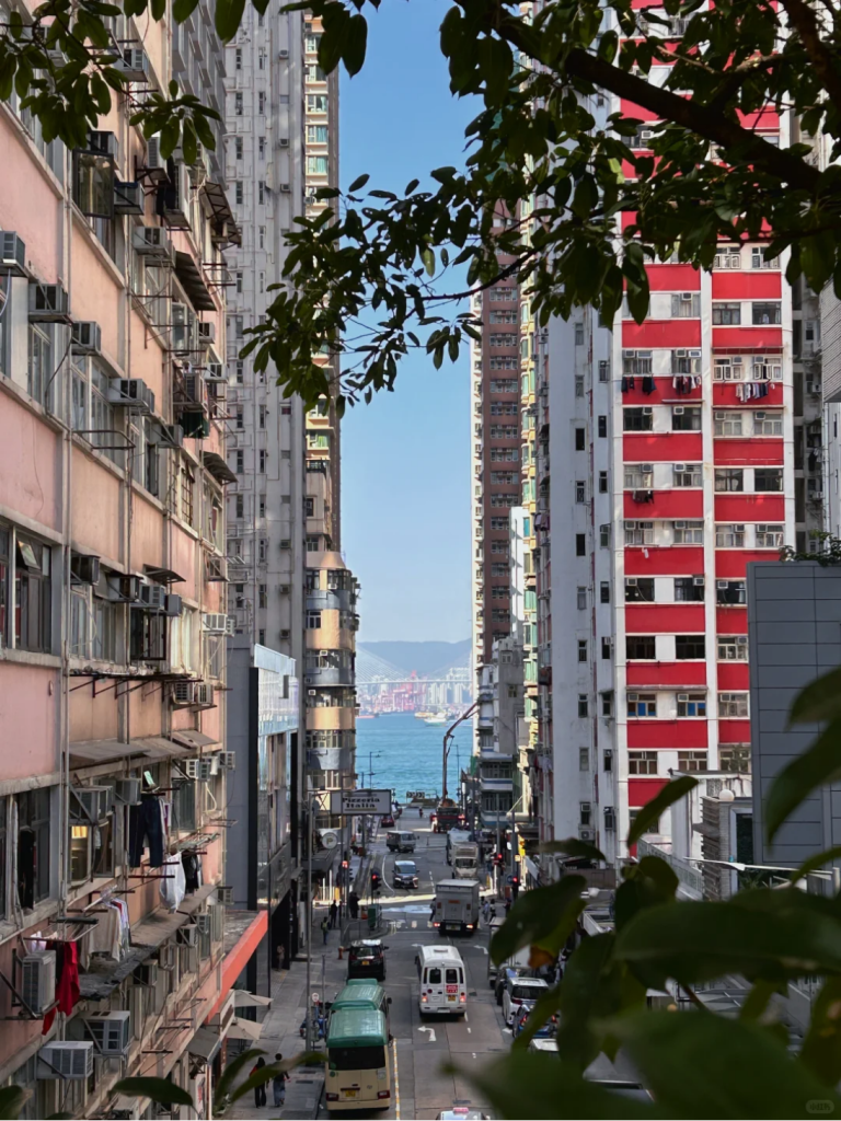香港生活真实开销2026 年:除了学费,一个月还要花多少钱