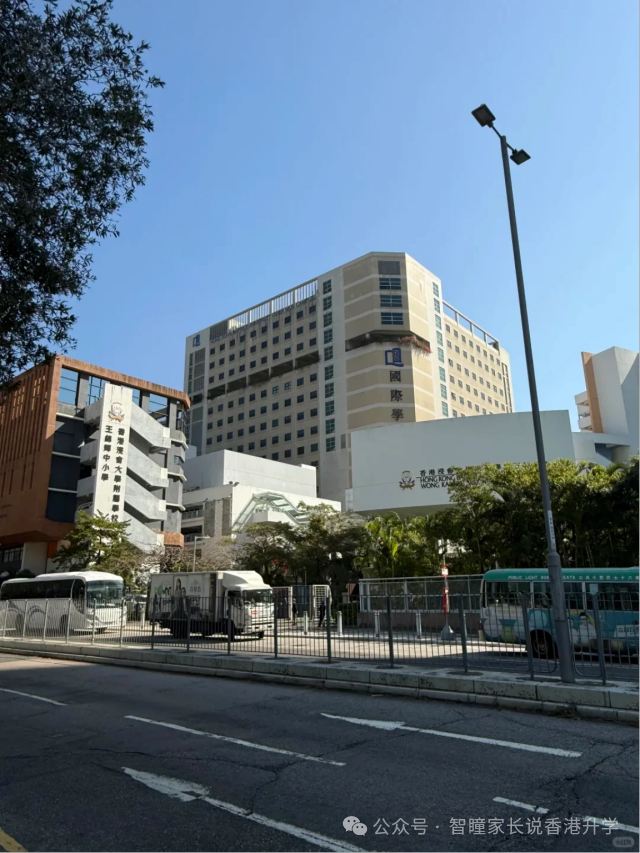 香港小学插班怎么选?官津、直资、私立、国际各有什么优缺点?