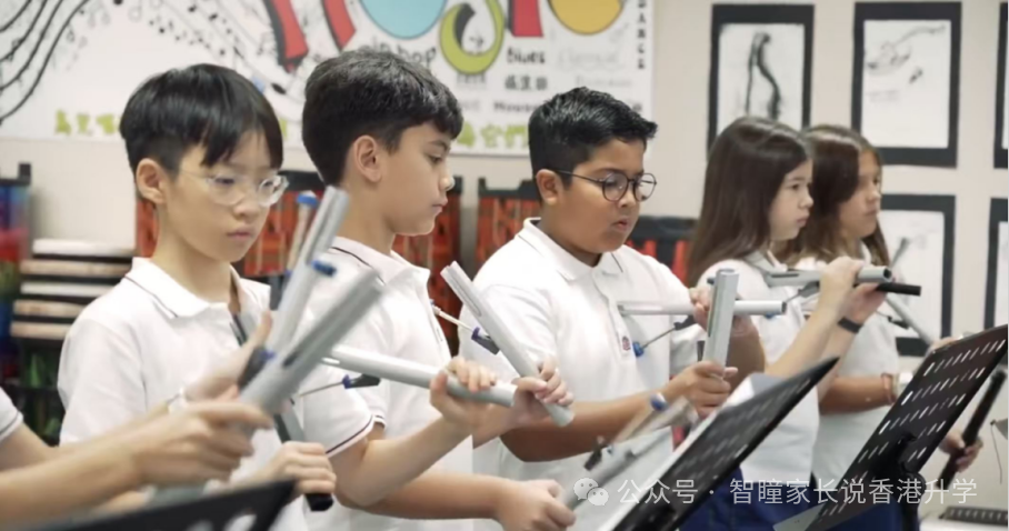 香港小学插班怎么选?官津、直资、私立、国际各有什么优缺点?