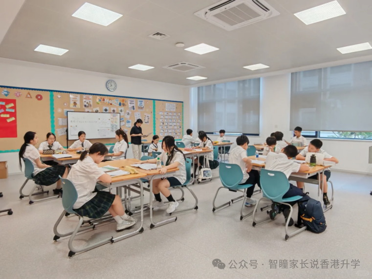 香港小学插班怎么选?官津、直资、私立、国际各有什么优缺点?