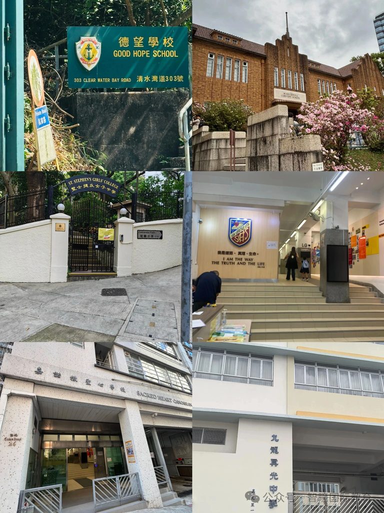 香港升学路径选择:国际学校、本地学校,到底该怎么选?