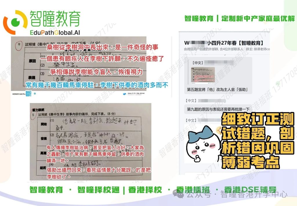 2027香港中一插班全流程拆解：资格、时间轴、材料清单，一篇讲清楚