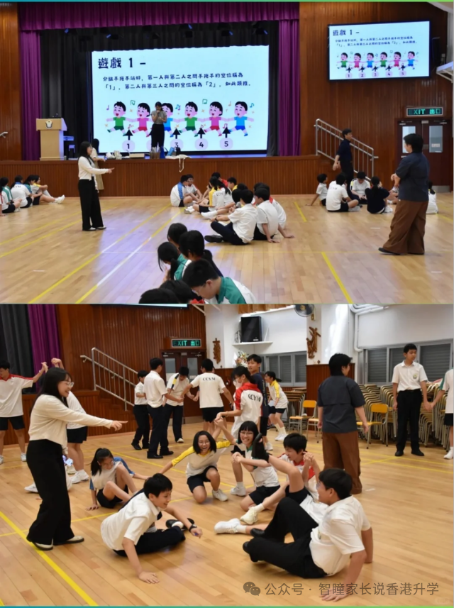 香港小学插班怎么选?官津、直资、私立、国际各有什么优缺点?