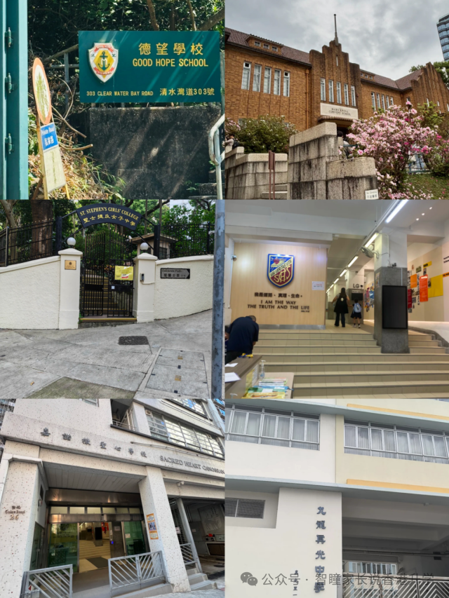 香港小学插班怎么选?官津、直资、私立、国际各有什么优缺点?