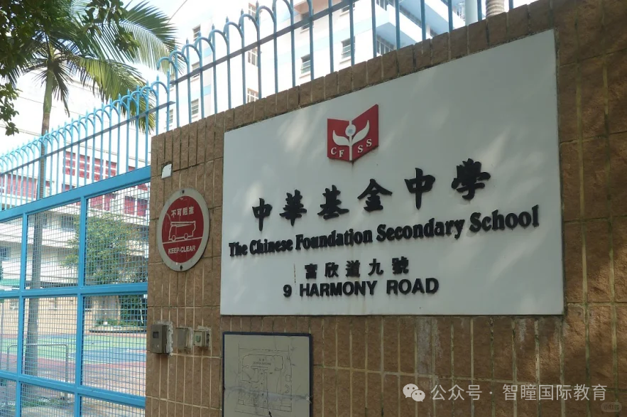 香港升学路径选择:国际学校、本地学校,到底该怎么选?