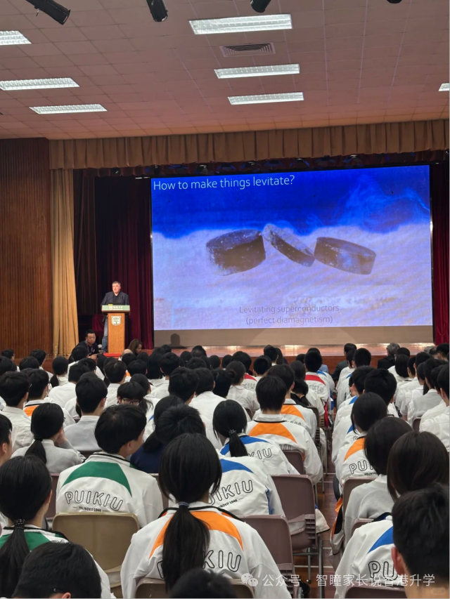 香港小学插班怎么选?官津、直资、私立、国际各有什么优缺点?