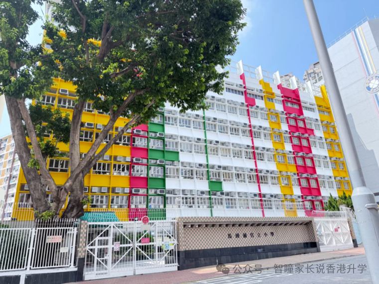 香港小学插班怎么选?官津、直资、私立、国际各有什么优缺点?