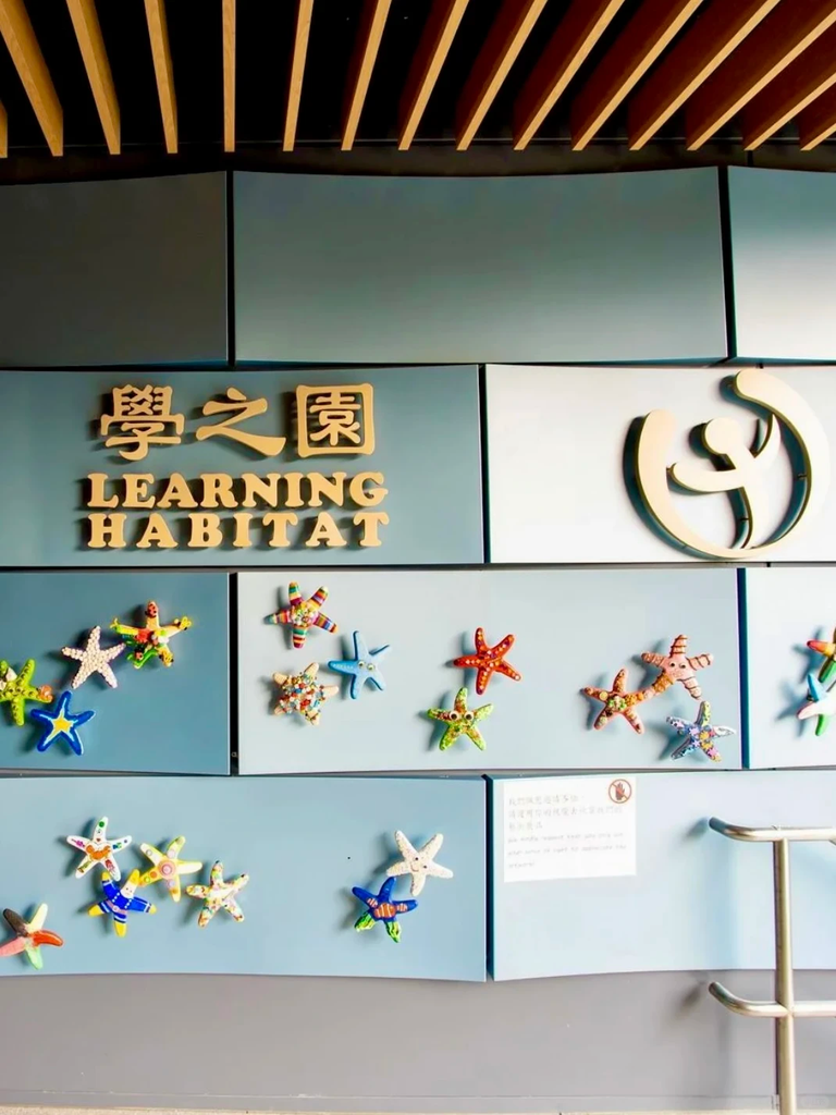 香港幼稚园怎么选?非牟利、私立、国际幼稚园各有什么优缺点