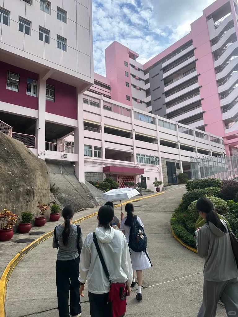 香港各年级插班节点汇总!幼稚园到中学择校策略详解