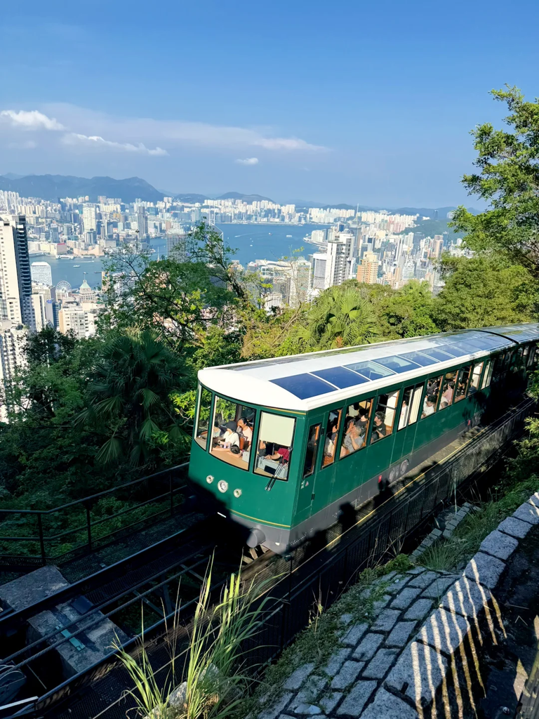 香港学校类型深度解析:官津、直资、私立、国际怎么选?很多家长第一步就选错了